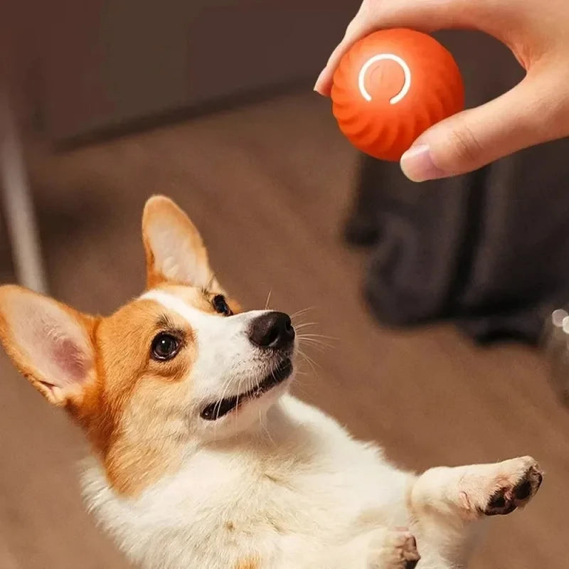 Automatic Interactive Dog Ball — Self-Rolling Touch-Activated Pet Toy, USB Rechargeable