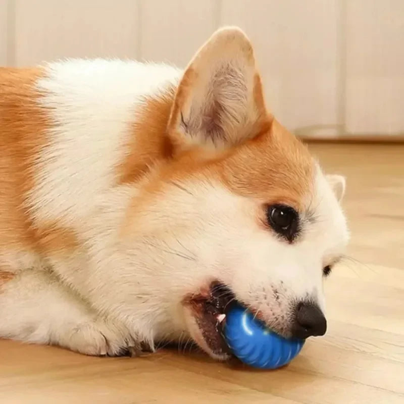 Automatic Interactive Dog Ball — Self-Rolling Touch-Activated Pet Toy, USB Rechargeable